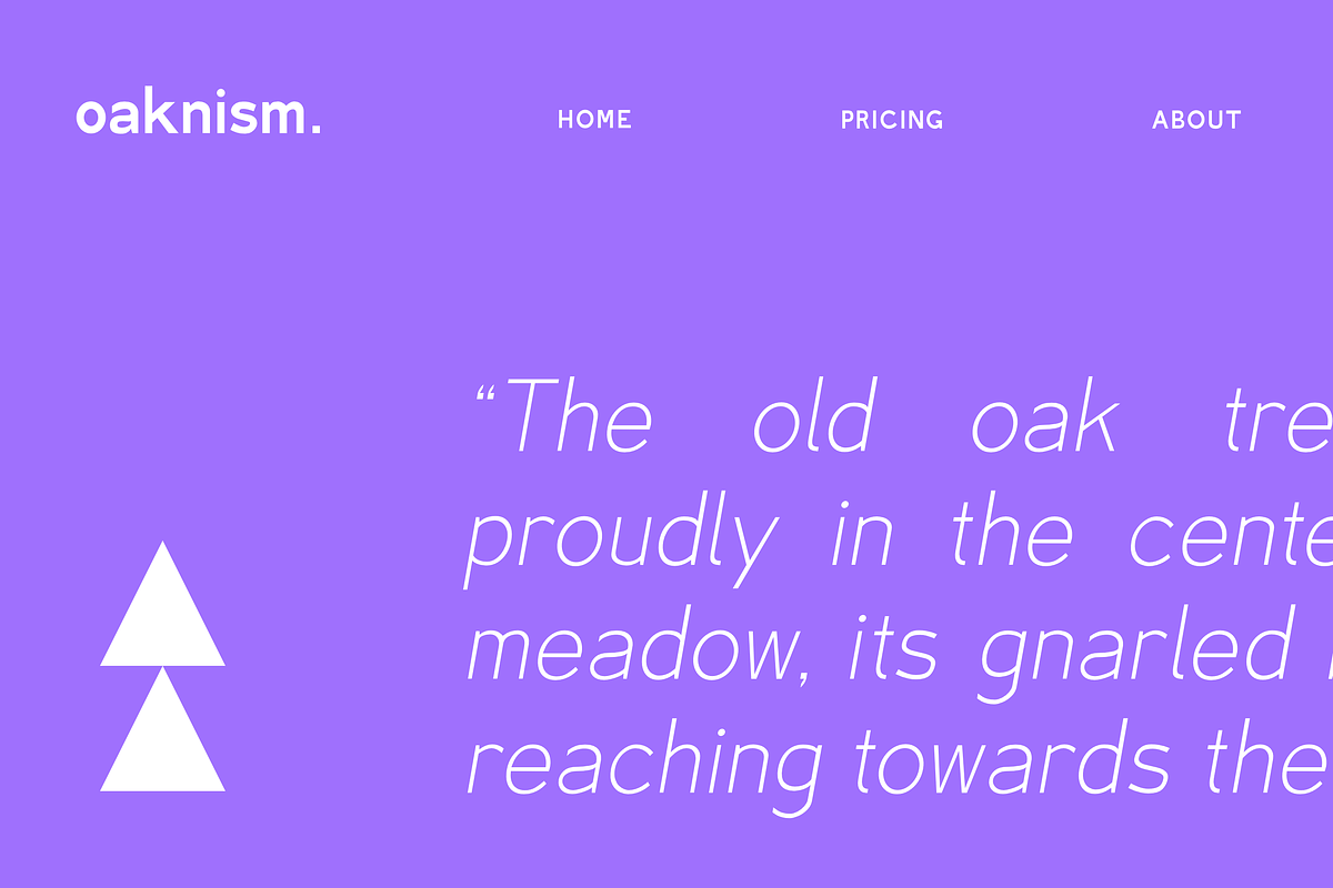 Luminoir Grotesk  - Variable Font, a Sans Serif Font by Hanaksara Studio (Photo 10 of 11)