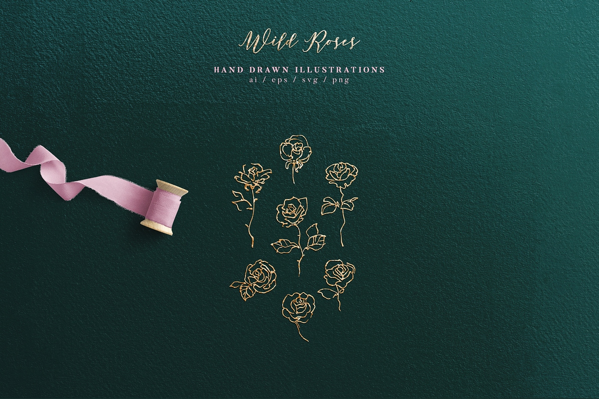 Wild Roses - Hand drawn Line Art, a Decorative Illustration by Aquarellina