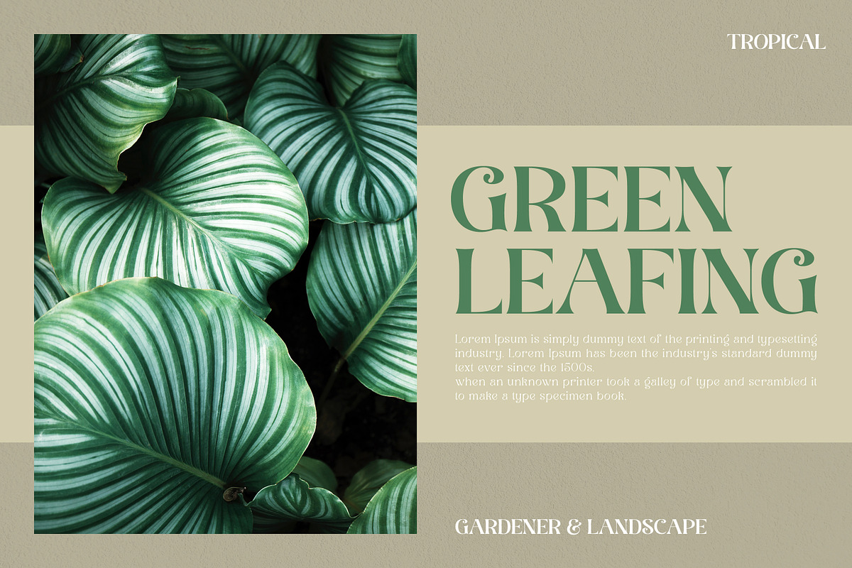 Sunbest Mora - Display Serif Font, a Serif Font by Ekahermawan (Photo 9 of 14)