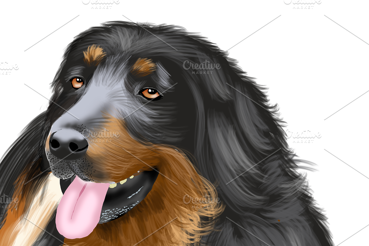 Dog Illustrations - Hand painted, an Animal Illustration by Papaya (Photo 7 of 7)