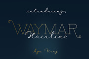 Waymar Hairline, a Serif Font by NREY (Thumbnail 8 of 8)