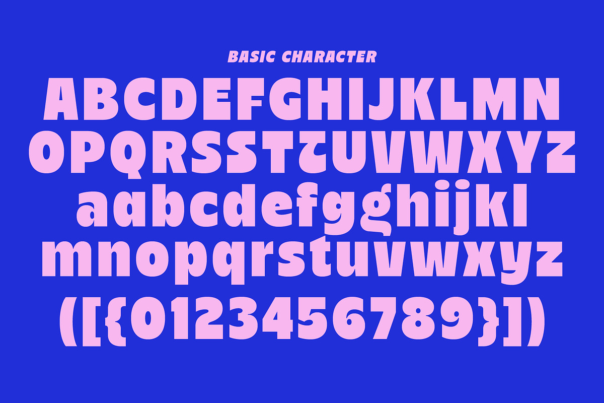 Nicka - Bold Display Sans, a Sans Serif Font by The Native Saint Club (Photo 16 of 16)