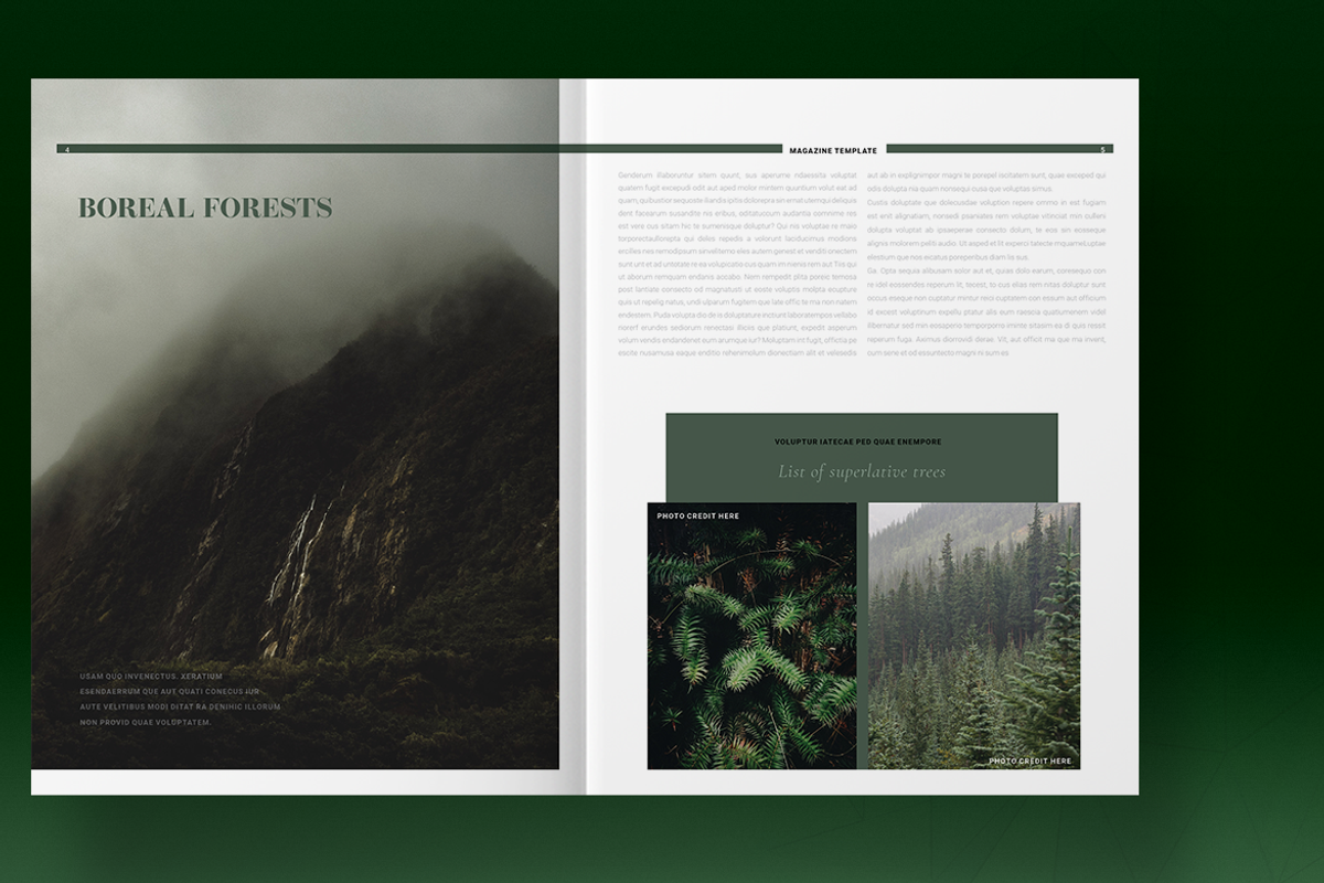 Green Natural Magazine Template, a Magazine Template by Boris Cupac