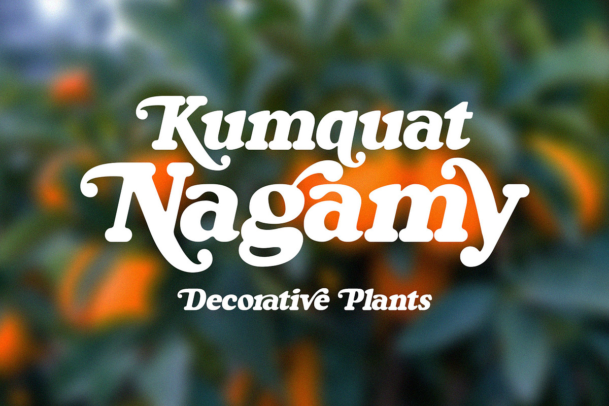 Kingo, a Serif Font by Omotu Studio (Photo 14 of 19)