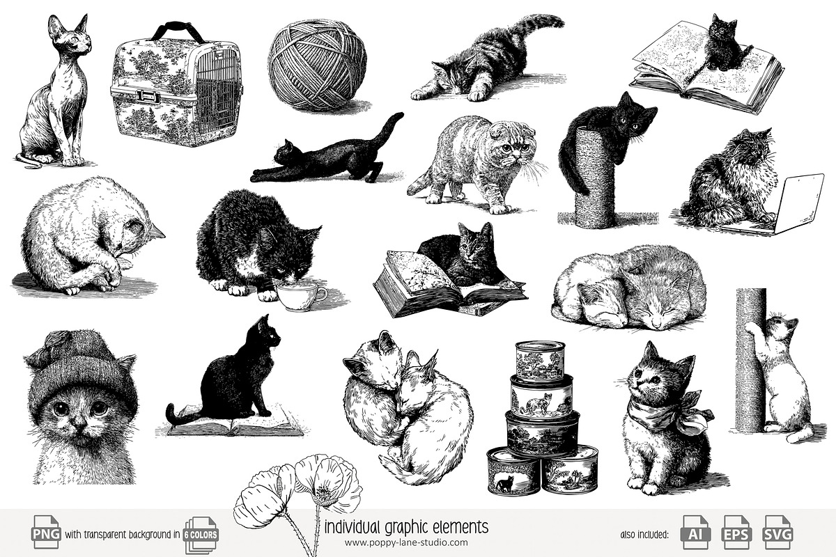 95 line art Cats clip art, an Animal Illustration by Poppy Lane Studio (Photo 3 of 12)