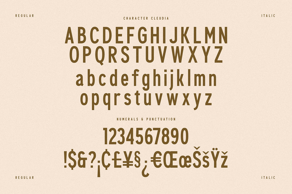 Cleudia Duo Font Sans Serif, a Sans Serif Font by Storytype Studio (Photo 12 of 15)