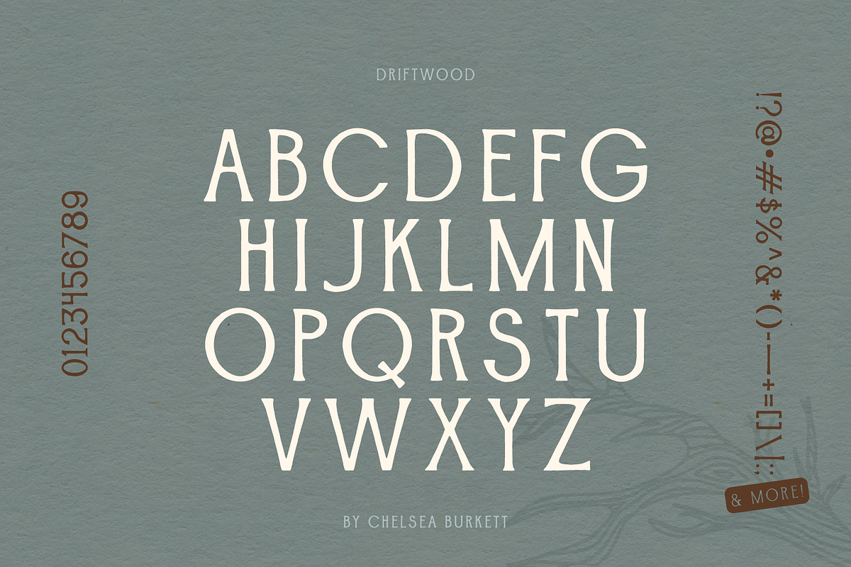 Driftwood, a Serif Font by Chelsea Burkett (Photo 2 of 6)