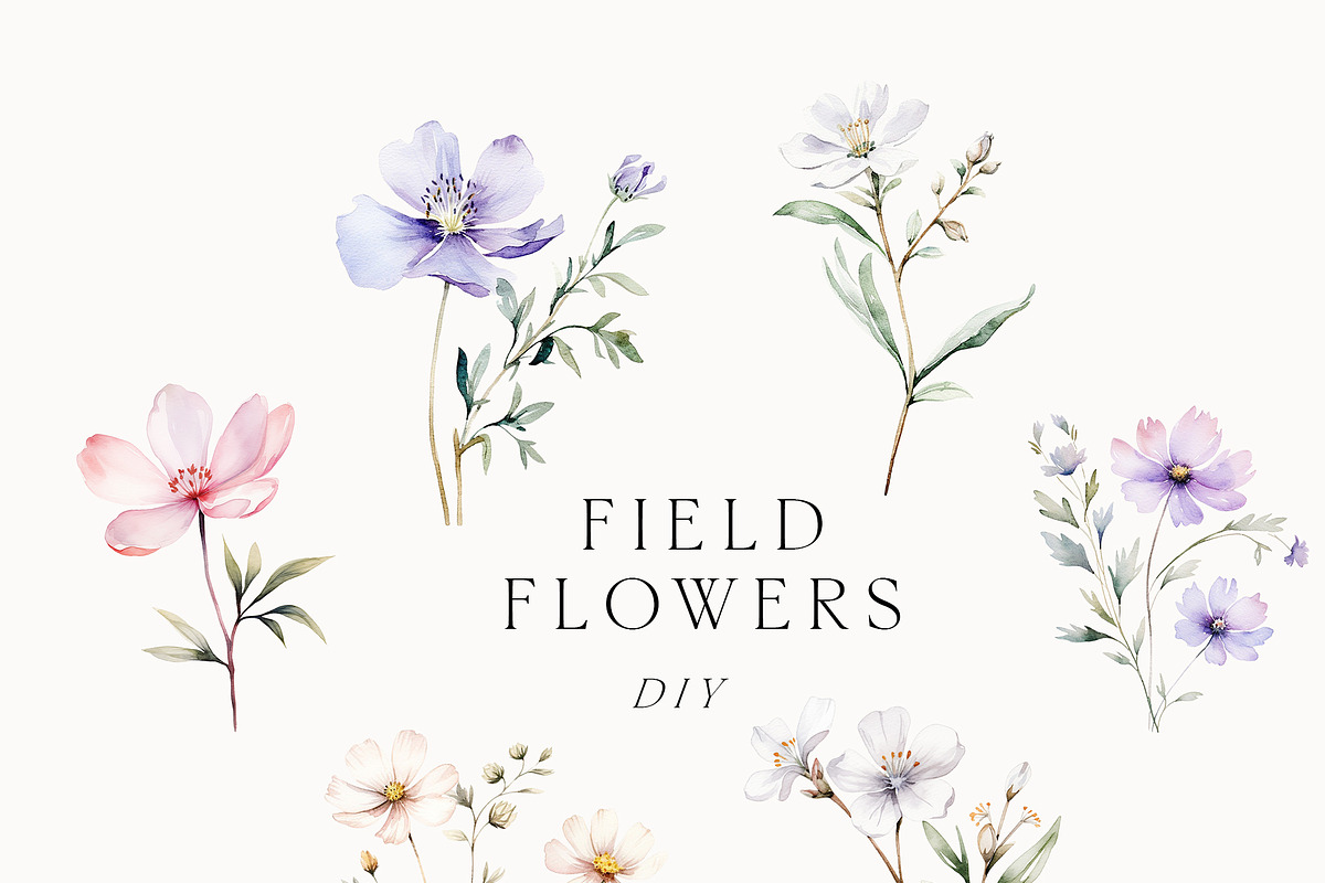 Watercolor Floral Bundle (45 in 1), a Decorative Illustration by Lana Elanor (Photo 14 of 180)