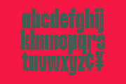 Wishnut - Duo Display Font, a Sans Serif Font by Marvadesign (Thumbnail 13 of 13)