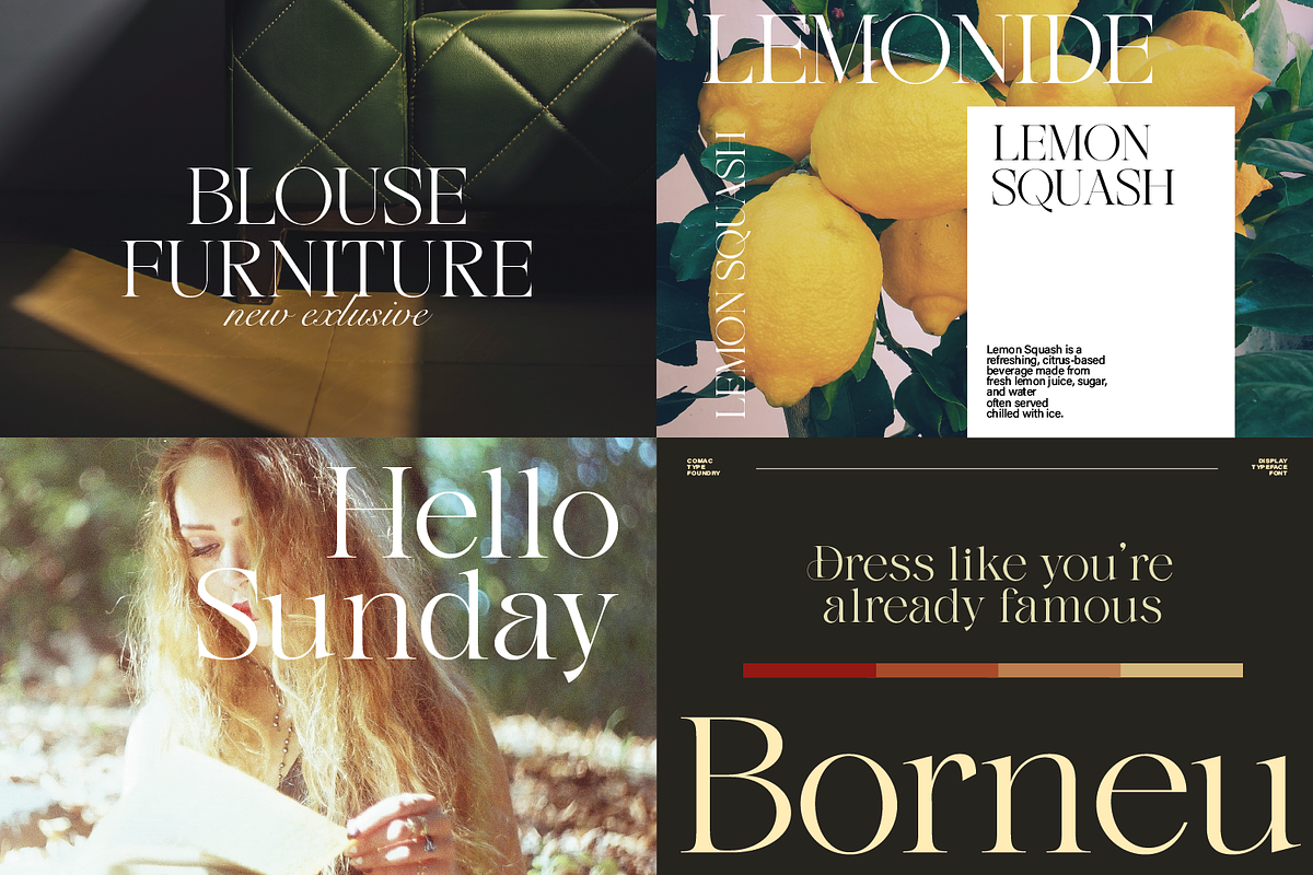 Gladier - A Modern Serif Font, a Serif Font by Comactype Foundry (Photo 15 of 22)