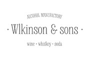 Delgado, a Sans Serif Font by Gaslight (Thumbnail 4 of 5)
