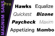 Magnum Sans Pro, a Sans Serif Font by FontMesa (Thumbnail 3 of 5)