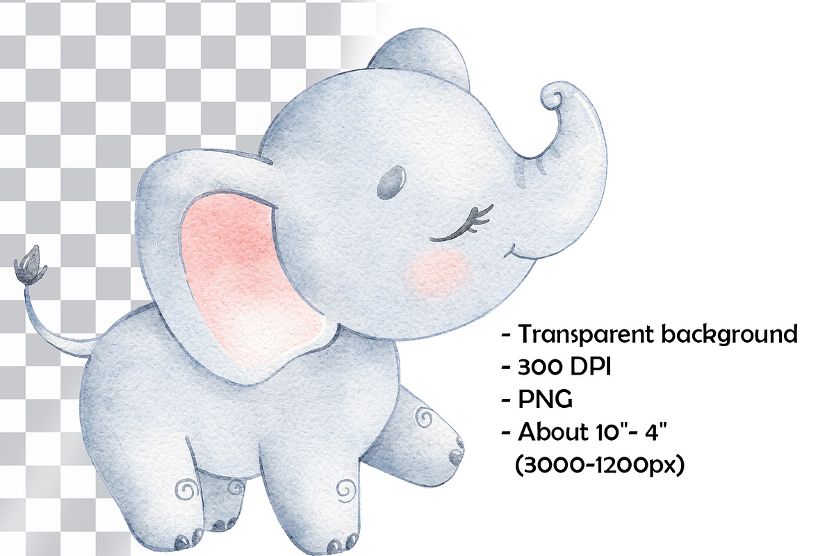 Cute Elephant Watercolor Clipart, an Animal Illustration by BonbonnyDesigns