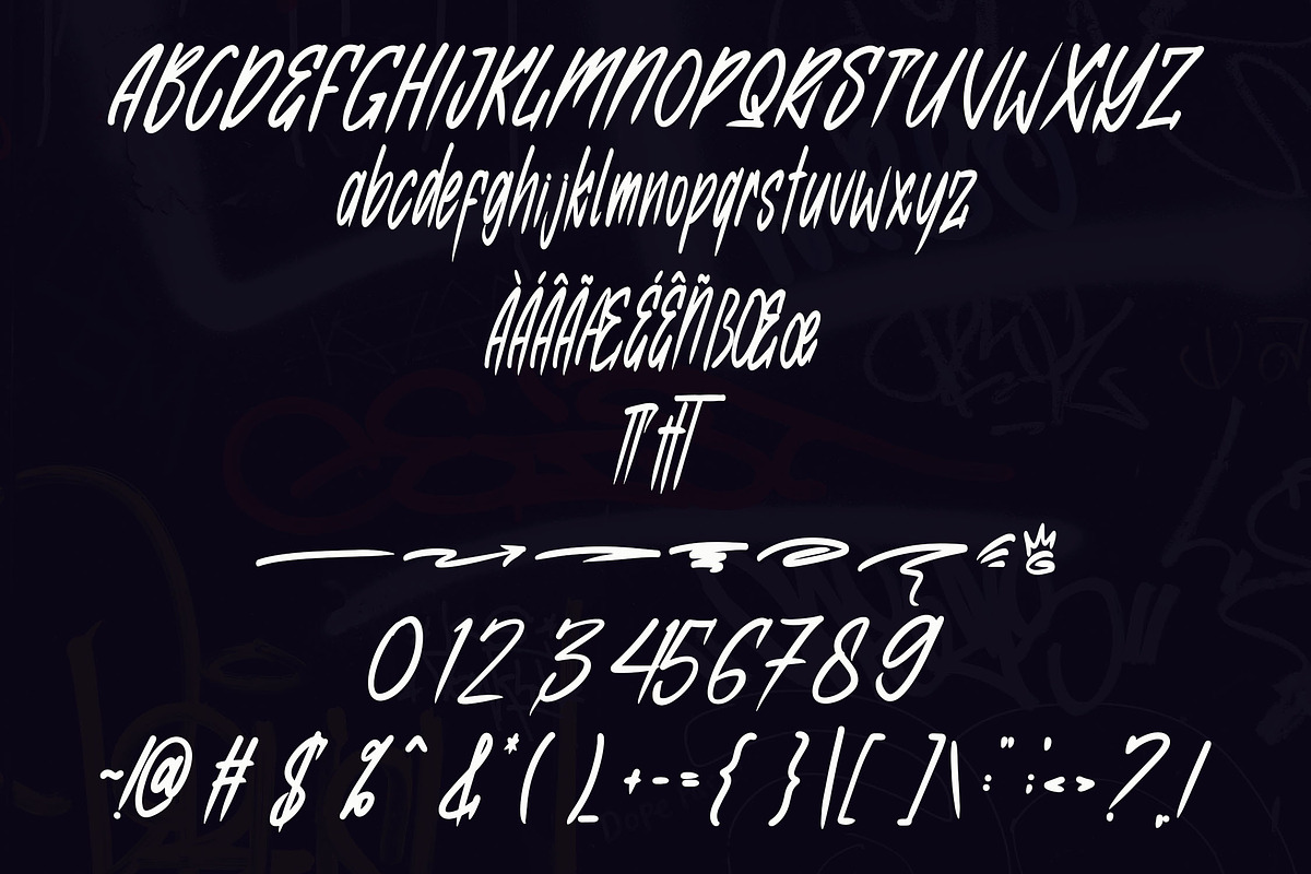 Quick Ankle Brush Font, a Handwritten Font by NTC Graphic (Photo 7 of 8)