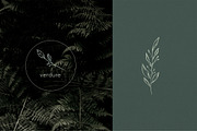Botanical Line Art Logo, an Illustration by Backyard Rose (Thumbnail 9 of 12)