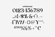 Tinday Serif Font, a Sans Serif Font by Artiveko (Thumbnail 6 of 8)