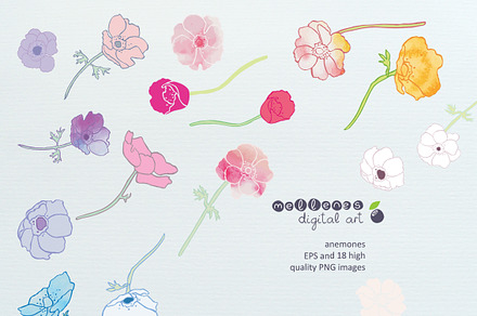 anemones clip art