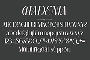 Chadenia, a Serif Font by Muksal Creative (Thumbnail 8 of 9)
