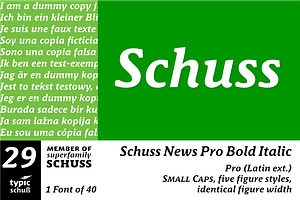 SchussNewsProBoldIta No.29 (1 Font)