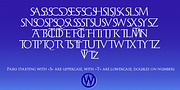 Monogramma, a Serif Font by Wiescher-Design (Thumbnail 11 of 14)