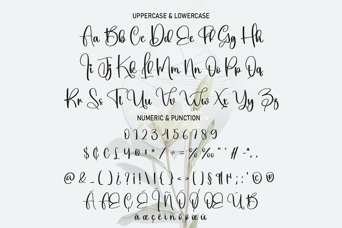Brilliant | Script Font, a Script Font by Scratchones (Photo 3 of 8)
