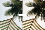 Honey Golden Glow Lightroom Presets, a Preset Add-On by PixaSquare (Thumbnail 10 of 10)