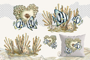 Calm fish watercolor clipart, an Animal Illustration by EL_SUHOVA (Thumbnail 4 of 13)