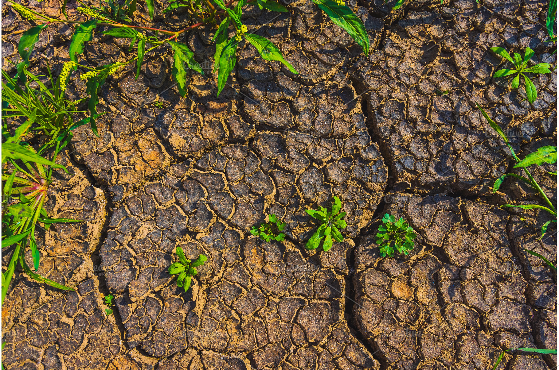 Cracked earth, metaphoric for, an Abstract Photo by Lukas Jonaitis SHOP