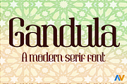 Gandula, a Serif Font by Wakoletras (Thumbnail 1 of 3)