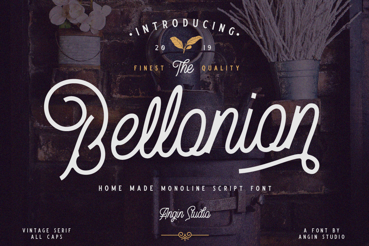 Bellonion Script ( font duo )