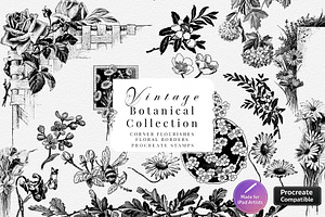 Procreate Botanical Collection