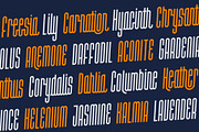 Halokia, a Script Font by Locomotype (Thumbnail 4 of 11)