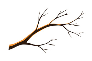 Watercolor hand drawn tree, an Object Illustration by Things for designers