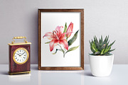 lilies clipart, Watercolor floral, a Decorative Illustration by ElenazlataArt (Thumbnail 4 of 6)