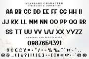 Blizzard, a Script Font by InermediaSTUDIO (Thumbnail 5 of 8)