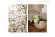 Elegant Lifestyle Bundle, a Background Photo by Nina Stock Photos (Thumbnail 4 of 7)