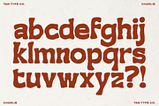 TAN - CHARLIE, a Handwritten Font by TanType (Thumbnail 10 of 14)