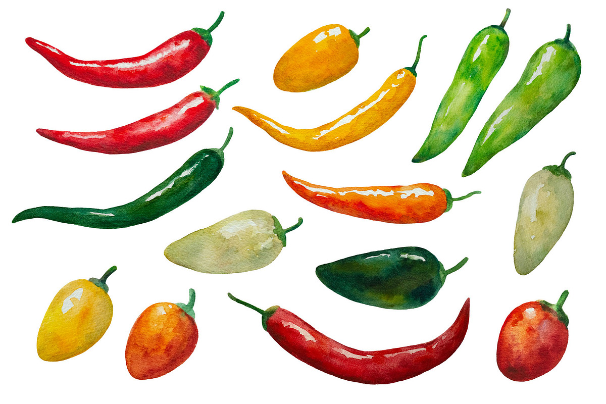 Watercolor set of hot chili peppers, a Food Illustration by Robusta (Photo 2 of 6)