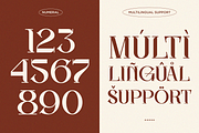 Oxelar - Luxury Editorial Serif Font, a Serif Font by Font Liner (Thumbnail 10 of 10)