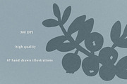 Winter Botanicals Clipart, a Seasonal Illustration by RaDavCrafts (Thumbnail 10 of 12)