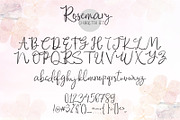 Rosemary Script! with Bonus!, a Script Font by Chocotype Std (Thumbnail 9 of 10)