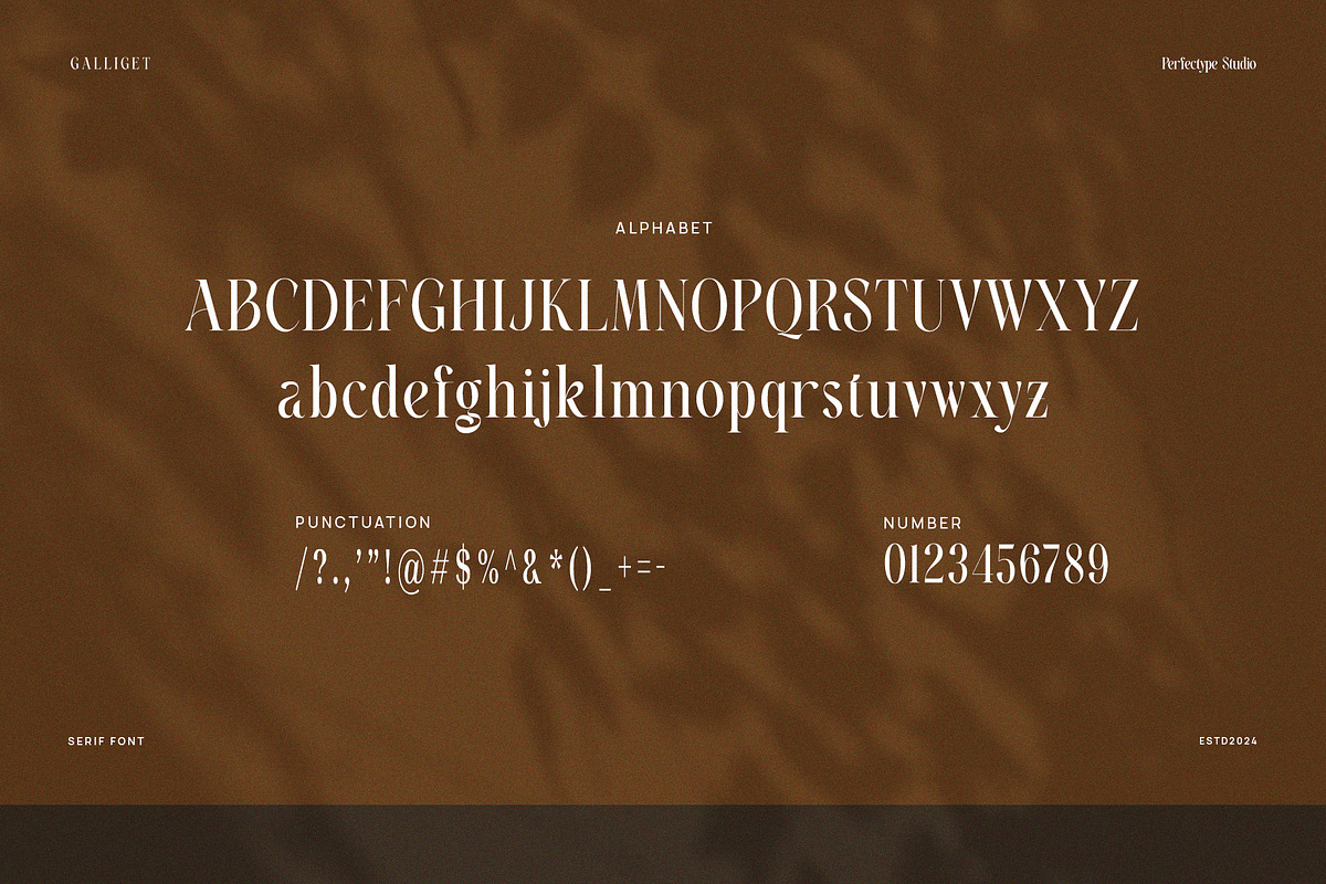 Galliget Modern Serif Font, a Serif Font by Perfectype (Photo 8 of 8)