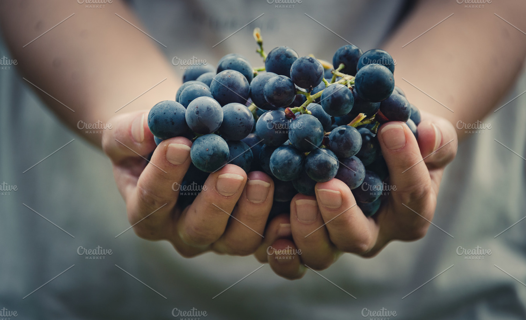Woman holding grapes containing grapes, wine, and grape, a Food & Drink Photo by HrastovaSiska