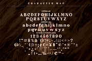 Narifah Modern Serif Font, a Script Font by Storytype Studio (Thumbnail 9 of 11)