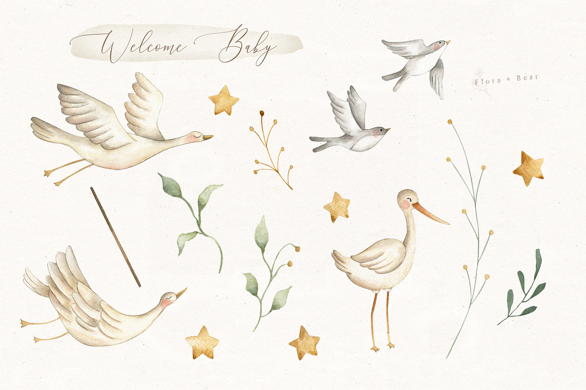 Welcome Baby, an Illustration by Flora+Bear (Photo 3 of 7)