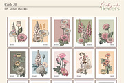 Pink garden flowers, a Decorative Illustration by Collection by VY (Thumbnail 10 of 10)