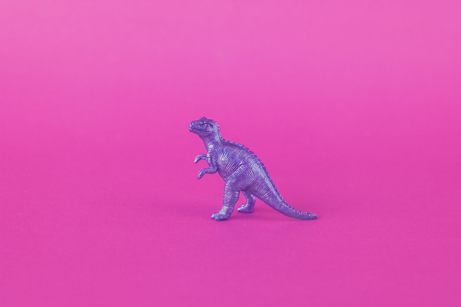 Purple T-Rex, an Animal Photo by Jessica Torres