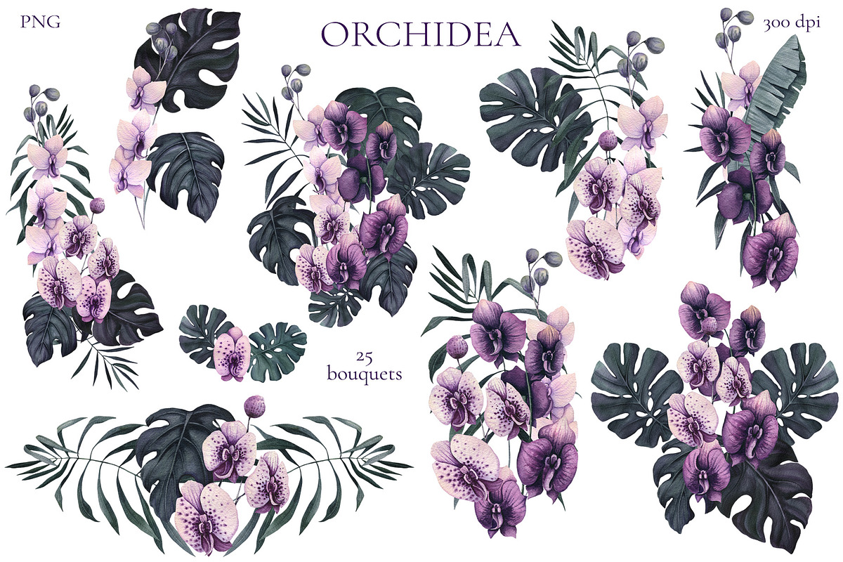 Orchidea, an Illustration by Salted Galaxy (Photo 4 of 11)