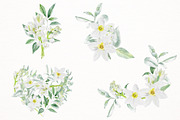 Daffodil & lilies of valley flowers, a Decorative Illustration by MyLittleMeow (Thumbnail 6 of 8)