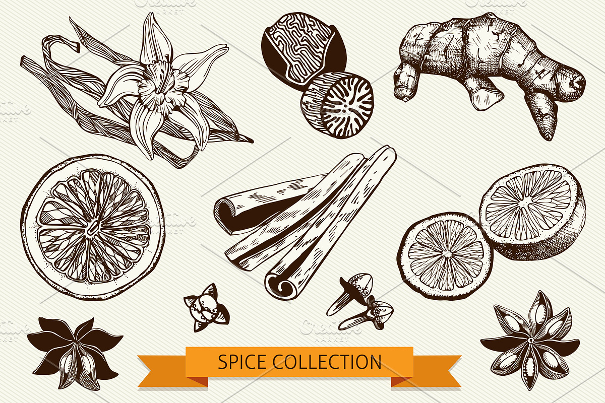Ink Hand Drawn Spice Collection preview 3